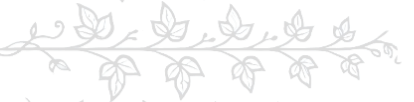Image de séparation